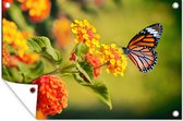 Tuindecoratie Vlinder - Insecten - Bloemen - Geel - 60x40 cm - Tuinposter - Tuindoek - Buitenposter