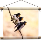 WallClassics - Textielposter - Drie Hongerige Vogeltjes - 40x30 cm Foto op Textiel