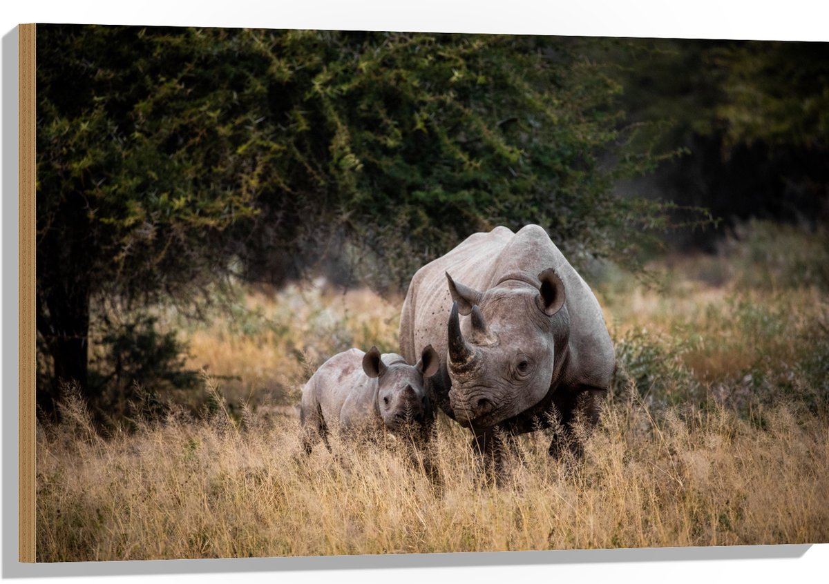 Hout - Neushoorn met Baby in de Natuur - 90x60 cm - 12 mm dik - Foto op Hout (Met Ophangsysteem)