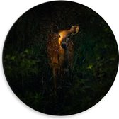 WallClassics - Dibond Muurcirkel - Hert in een Donker Bos - 30x30 cm Foto op Aluminium Muurcirkel (met ophangsysteem)