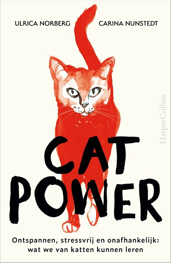Cat Power - cover