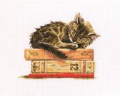 RTO borduurpakket Cat's Dream m642