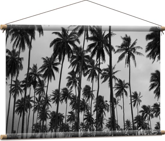 WallClassics - Textielposter - Heel Veel Palmbomen Zwart / Wit - 90x60 cm Foto op Textiel