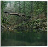 WallClassics - Dibond - Moulton Falls Bridge - Brug in het Bos - 50x50 cm Foto op Aluminium (Wanddecoratie van metaal)