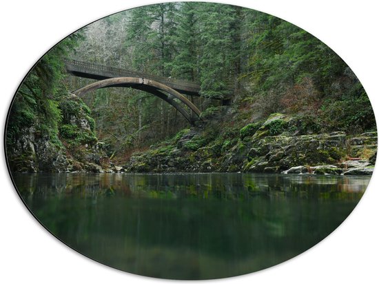 WallClassics - Dibond Ovaal - Moulton Falls Bridge - Brug in het Bos - 56x42 cm Foto op Ovaal (Met Ophangsysteem)