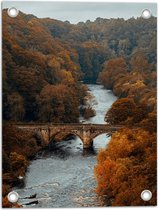 WallClassics - Tuinposter – Herfstige Bomen bij Brug over Rivier - 30x40 cm Foto op Tuinposter  (wanddecoratie voor buiten en binnen)