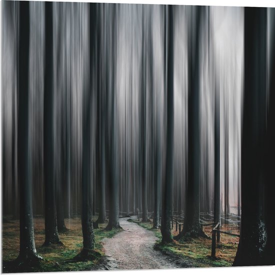 WallClassics - Verre Acrylique - Très Grands Arbres Abstraits - Photo 80x80 cm sur Verre Acrylique (avec système de suspension)