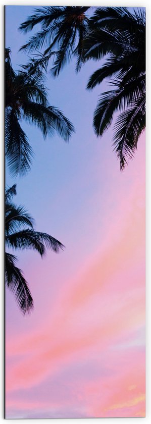 WallClassics - Dibond - Silhouet van Palmbomen bij Pastekleuren in de Lucht - 50x150 cm Foto op Aluminium (Met Ophangsysteem)