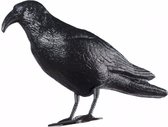 2-pack Halloween zwarte kraaien, realistische gevederde kraaien Halloween decoraties vogels binnen buiten decoratie