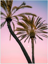 WallClassics - Poster Glanzend – Twee Palmbomen bij Roze-Blauwe Lucht - 30x40 cm Foto op Posterpapier met Glanzende Afwerking