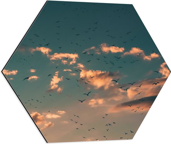 WallClassics - Dibond Hexagon - Zwerm Vogels bij Witte Wolken - 60x52.2 cm Foto op Hexagon (Met Ophangsysteem)