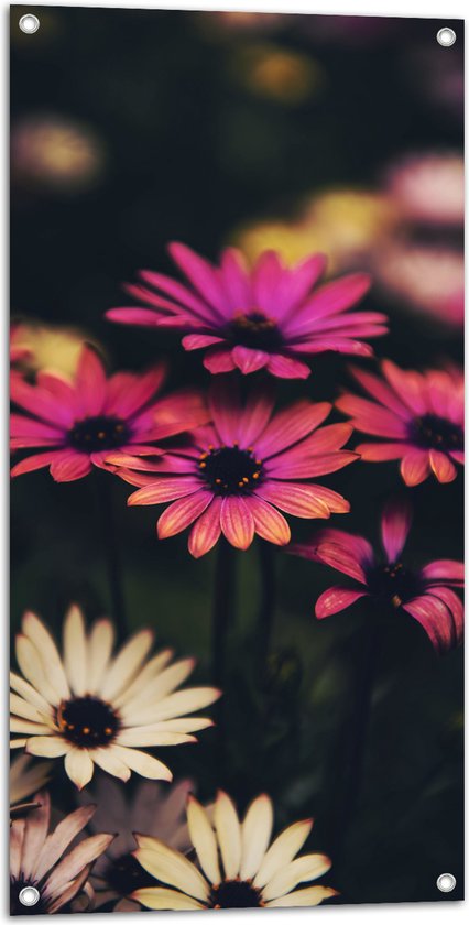 WallClassics - Tuinposter – Roze-Witte Bloemen met Takken - 50x100 cm Foto op Tuinposter  (wanddecoratie voor buiten en binnen)