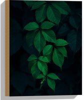 WallClassics - Hout - Smal Takje met Bladeren - 30x40 cm - 12 mm dik - Foto op Hout (Met Ophangsysteem)