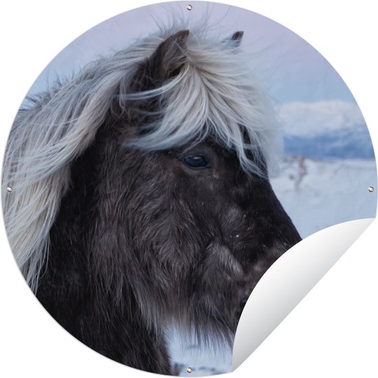Tuincirkel Paard - Sneeuw - IJsland - 60x60 cm - Ronde Tuinposter - Buiten