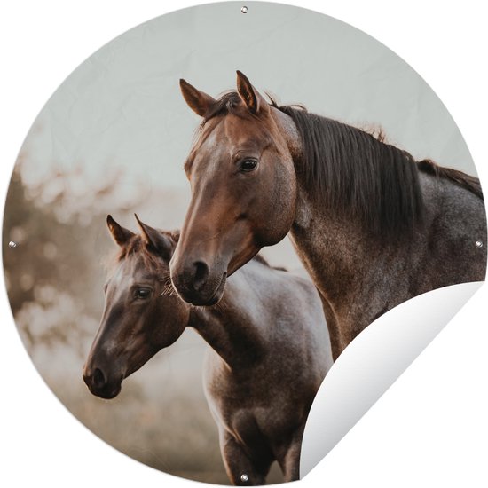 Tuincirkel Paarden - Natuur - Bruin - 150x150 cm - Ronde Tuinposter - Buiten