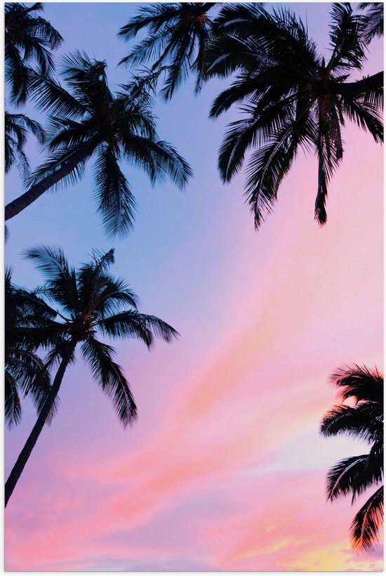 WallClassics - Poster (Mat) - Silhouet van Palmbomen bij Pastekleuren in de Lucht - 40x60 cm Foto op Posterpapier met een Matte look