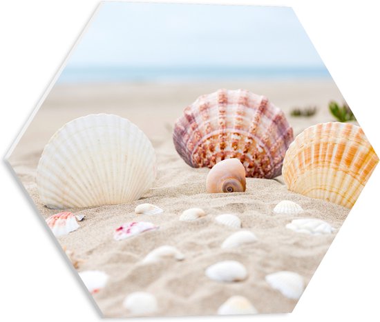 WallClassics - PVC Schuimplaat Hexagon  - Schelpjes in het Zand op het Strand - 40x34.8 cm Foto op Hexagon (Met Ophangsysteem)