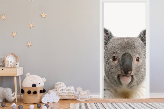 Porte-bébé koala 
