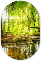 Muurovaal - Wandovaal - Kunststof Wanddecoratie - Ovalen Schilderij - Bos - Landschap - Water - Bomen - Zon - Groen - Natuur - 80x120 cm - Ovale spiegel vorm op kunststof