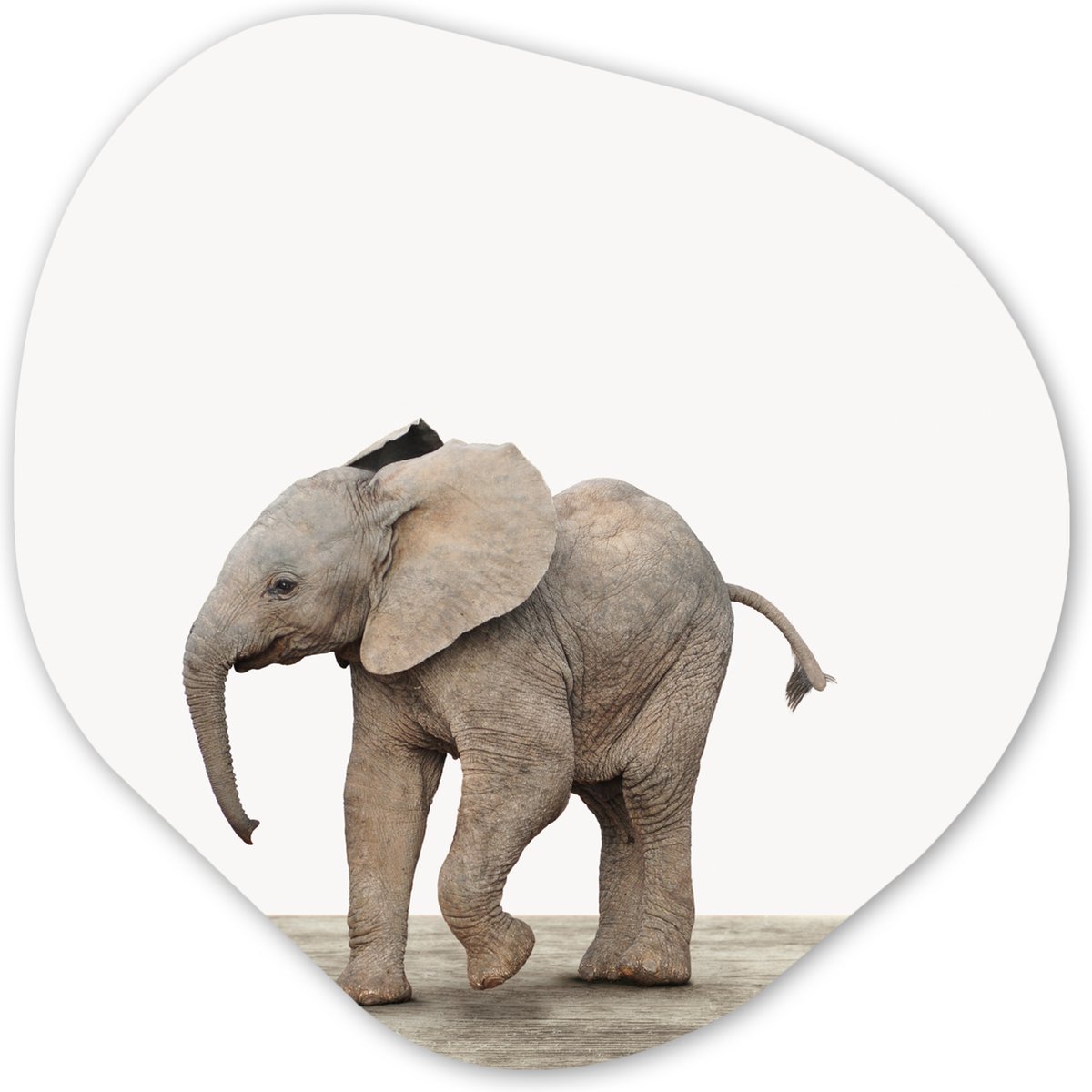 Organische wanddecoratie 40x40 cm - Organisch schilderij Baby olifant - Dieren - Olifant - Kinderen - Meiden - Jongens - Muurdecoratie woonkamer - Kamer decoratie - Schilderijen - Muurcirkel aesthetic