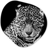 Décoration murale bio - Décoration murale murale en plastique - Tableau bio - Léopard - Animaux - Zwart - Wit - Portrait - 90x90 cm - Forme miroir bio sur plastique