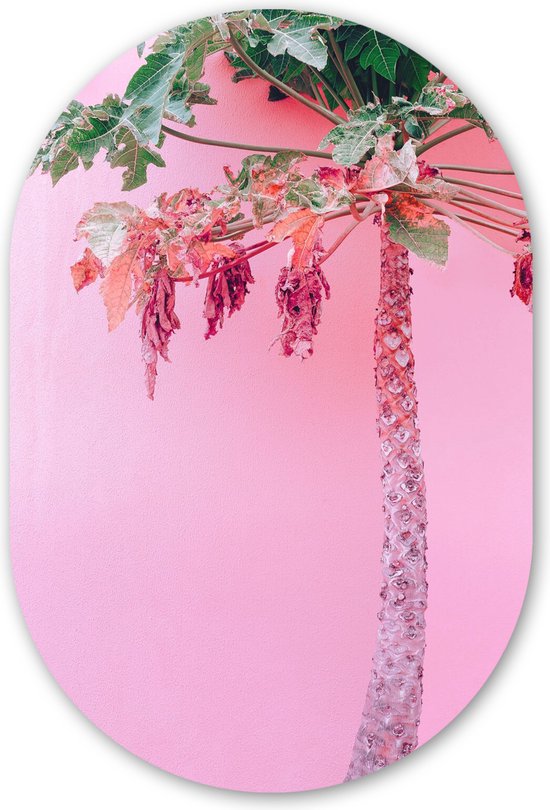 Muurovaal - Kunststof Wanddecoratie - Ovalen Schilderij - Palmboom - Tropisch - Roze - Zomer - 60x90 cm - Ovale spiegel vorm op kunststof