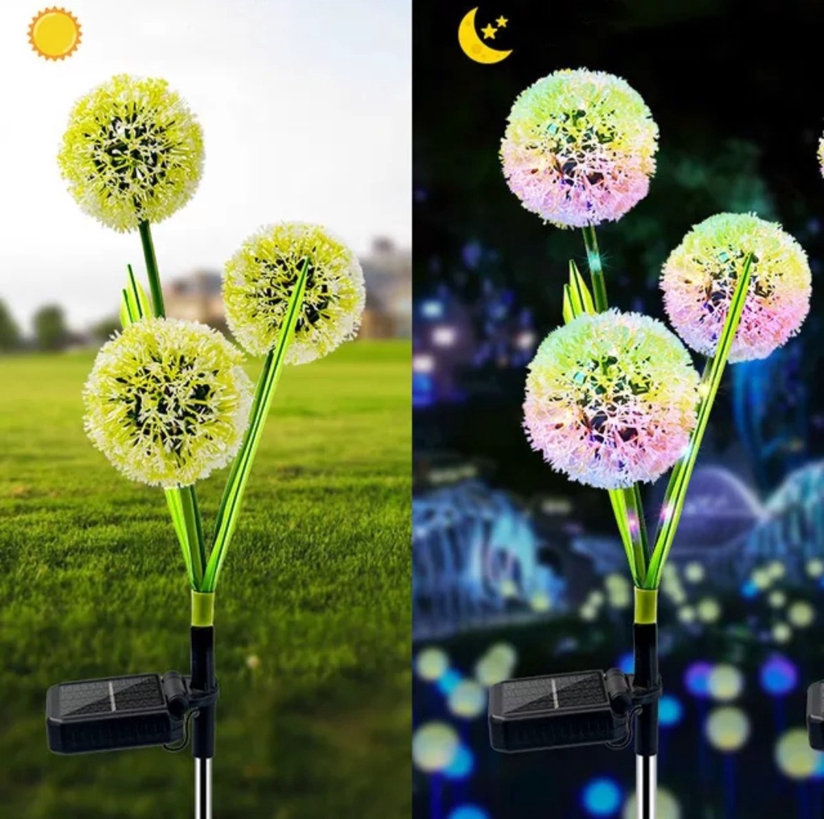 Solar Garden Lights Dandelion - Licht Bloemen - Flowers - Solar  Lichtbolletjes 