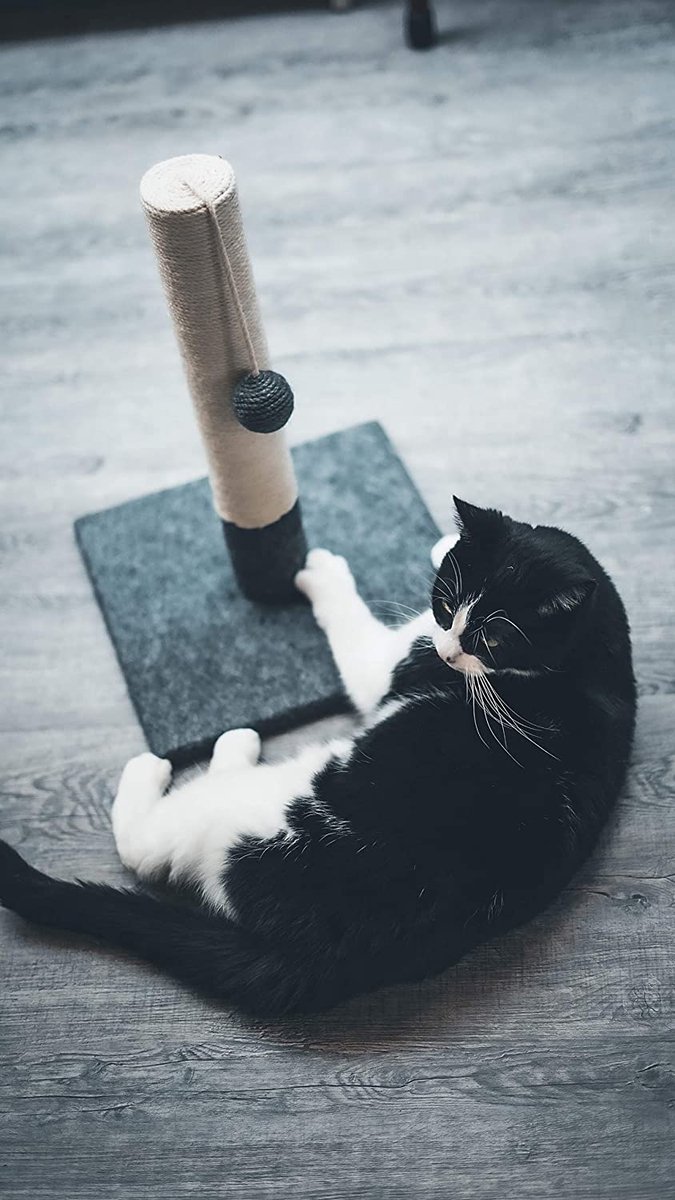 Krabpaal – klimpaal - kattenkrabpaal – kattenboom
