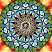Diamond painting Mandala wandtapijt- overvloed en zegen symbolen- print op canvas 30 x 40 cm met frame