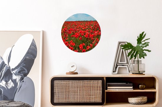 WallCircle - Wall Circle - Wall Circle - Une prairie pleine de coquelicots - Aluminium - Dibond - 30x30 cm - Intérieur et Extérieur