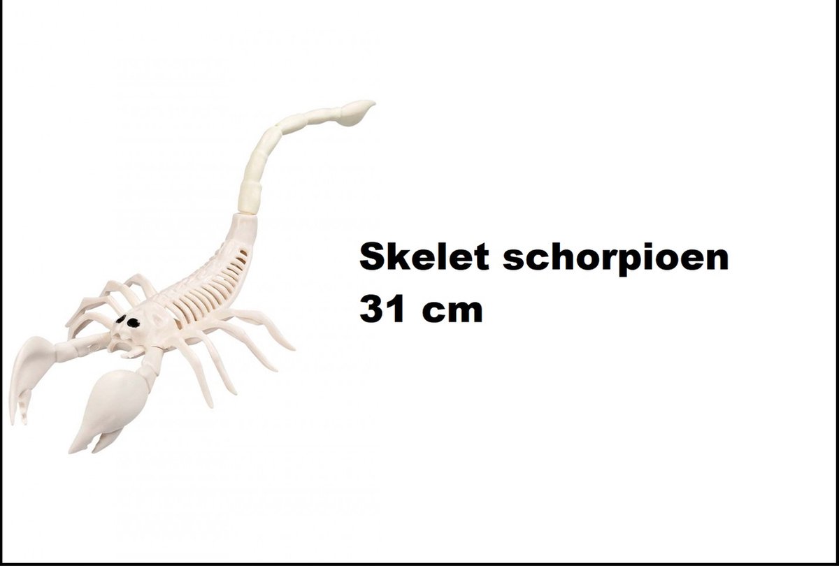 Griezelige skelet spin 24 cm perfecte decoratie voor halloween en griezelfeesten