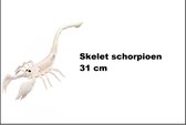 Decoratie Skelet schorpioen 31cm - Halloween scary griezel thema feest fun horror