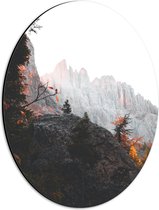 WallClassics - Dibond Ovaal - Bomen op Stijle Berg - 30x40 cm Foto op Ovaal (Met Ophangsysteem)