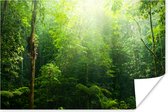 Poster Jungle - Sunlight - Vert - Filles - Enfants - Garçons - 180x120 cm XXL - Poster Kids Room