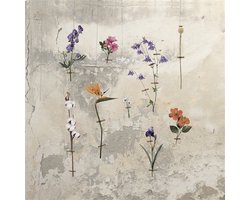 Horzines Stara - Bords De Terre Dubhe (CD)