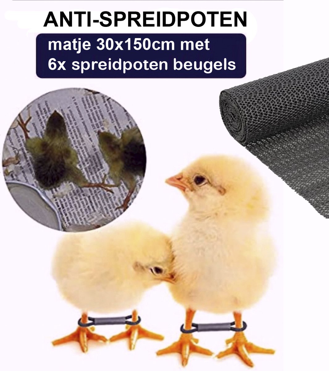 Lot De 12 Attelles Pour Pattes écartées De Poussin, 3 Tailles, Pour