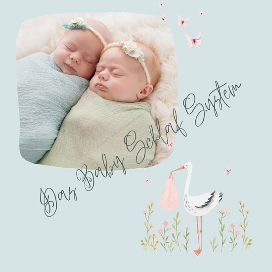 Das Baby Schlaf System - cover
