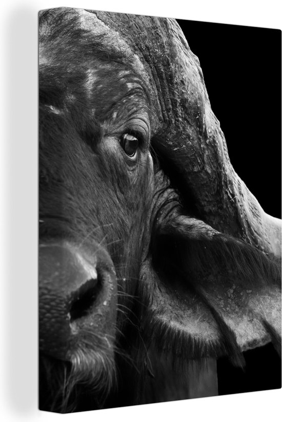 Canvas - Wilde dieren - Buffalo - Zwart - Wit - Canvas schilderijen woonkamer - 30x40 cm - Wanddecoratie - Canvasdoek