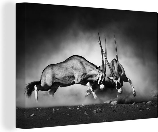 Canvas - Wilde dieren - Antilope - Natuur - Zwart - Wit - Woonkamer - Canvas doek - 60x40 cm - Schilderijen op canvas - Wanddecoratie
