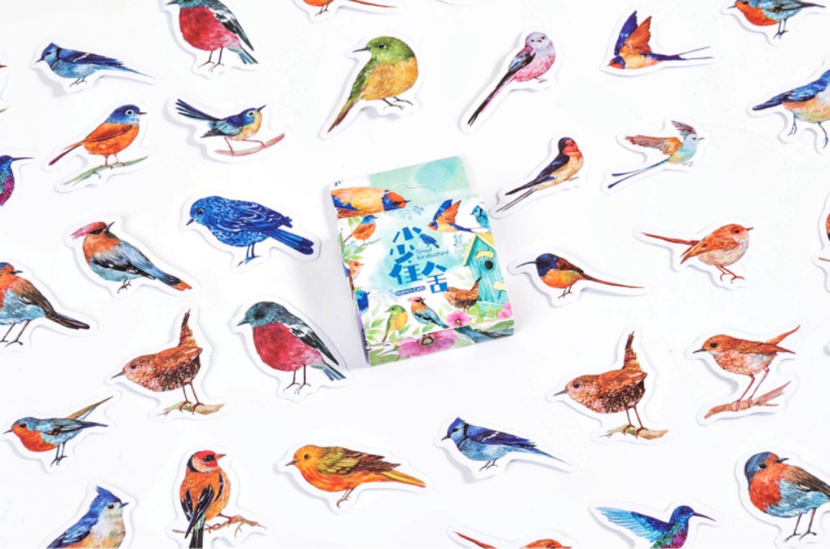 Vogels & Dieren Stickers 46 stickers – Bullet Journal, Planner & Scrapbook Stickers – Sinterklaas & Kerstcadeau – Schoencadeau – Cadeaus onder €5