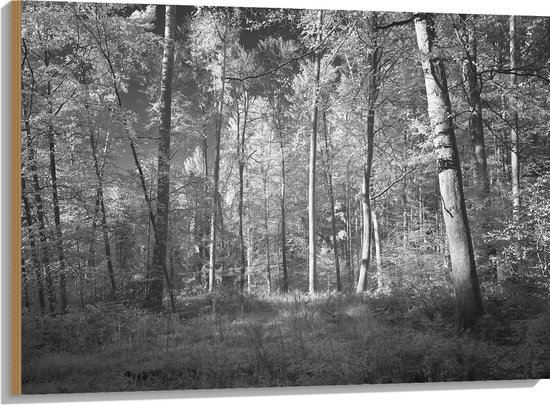 WallClassics - Hout - Bos Zwart / Wit - 100x75 cm - 12 mm dik - Foto op Hout (Met Ophangsysteem)