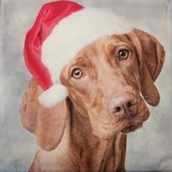 Kussenhoes - kerst - hond met kerstmuts - 52