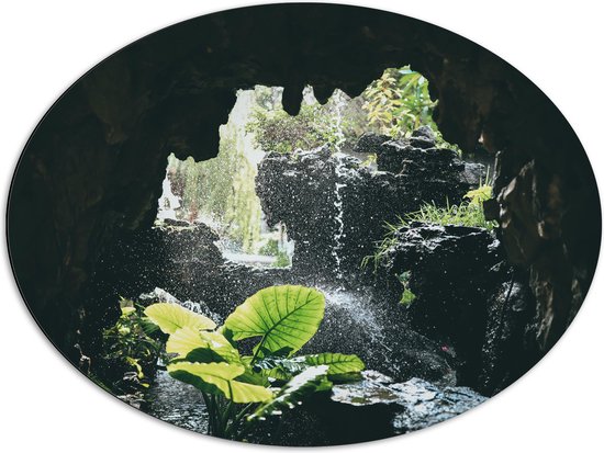 WallClassics - Dibond Ovaal - Groen Plantje Achter Stromend Water in een Grot - 80x60 cm Foto op Ovaal (Met Ophangsysteem)