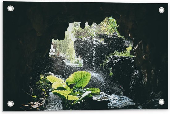 WallClassics - Tuinposter – Groen Plantje Achter Stromend Water in een Grot - 60x40 cm Foto op Tuinposter  (wanddecoratie voor buiten en binnen)