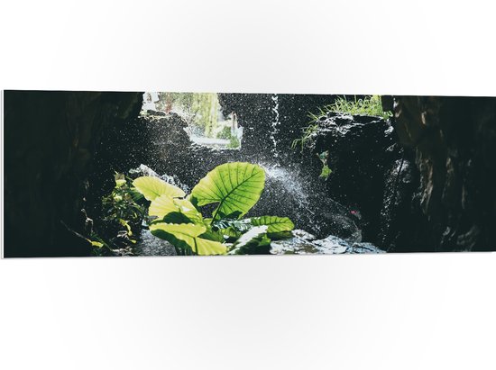 WallClassics - PVC Schuimplaat- Groen Plantje Achter Stromend Water in een Grot - 120x40 cm Foto op PVC Schuimplaat
