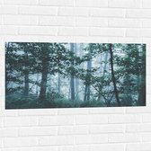 WallClassics - Muursticker - Brouillard léger dans une forêt verte - 100x50 cm Photo sur Muursticker