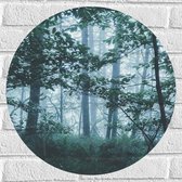 WallClassics - Muursticker Cercle - Brume Légère dans une Forêt Verte - 50x50 cm Photo sur Muursticker