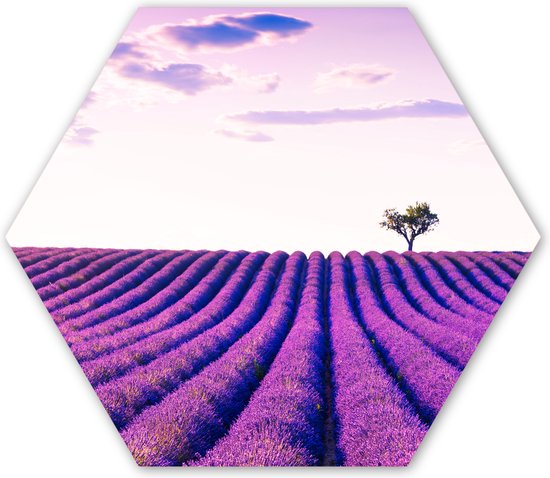 Hexagon wanddecoratie - Kunststof Wanddecoratie - Hexagon Schilderij - Lavendel - Bomen - Paars - Bloemen - 120x103 cm