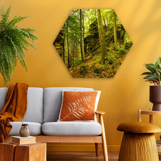 Décoration murale Hexagone - Décoration murale Plastique - Peinture Hexagone - Arbres - Pierre - Forêt - Nature - Plantes - 75x65 cm