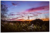 WallClassics - Dibond - Roze Wolken in de Lucht - 60x40 cm Foto op Aluminium (Met Ophangsysteem)